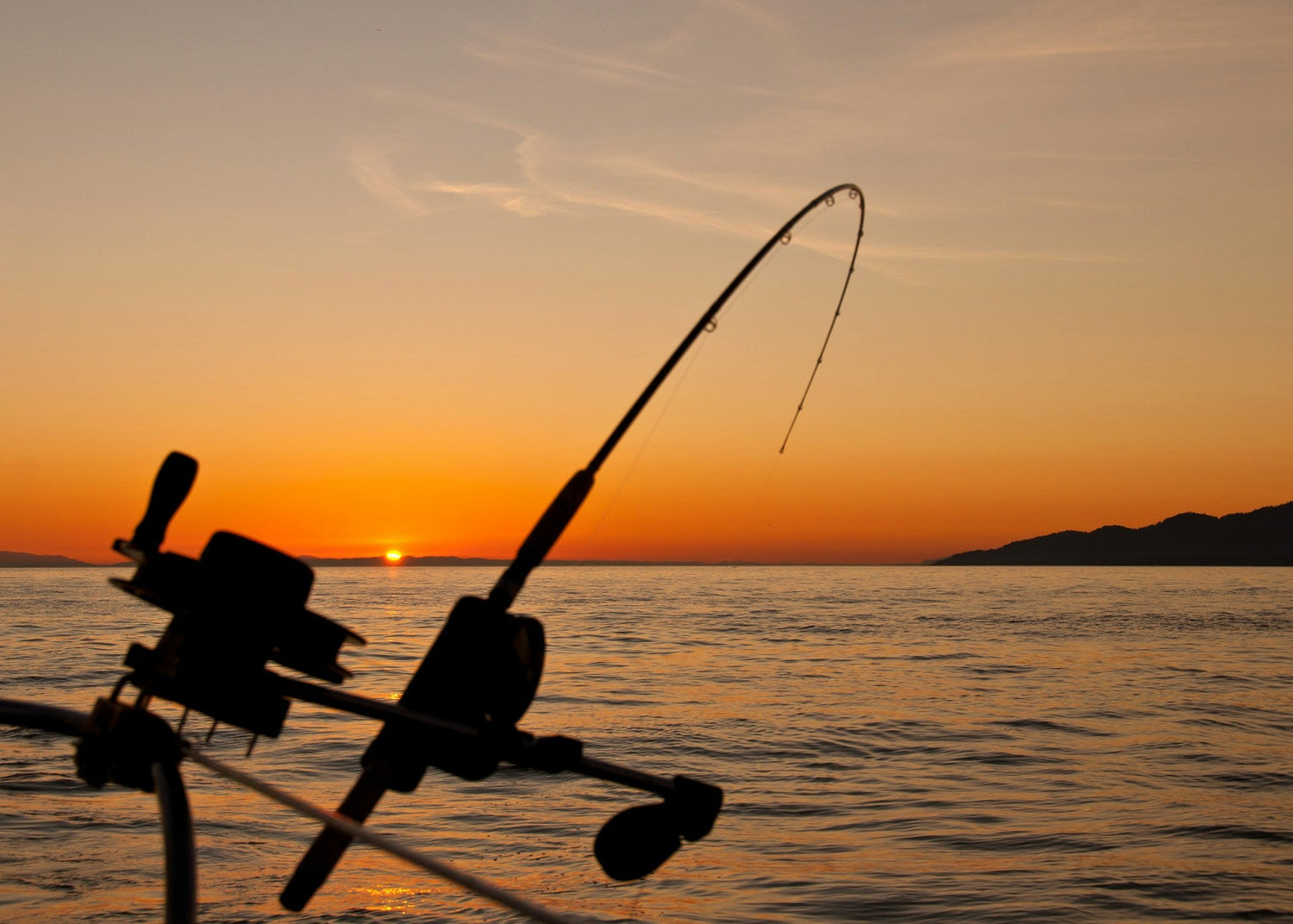 Fishing Supplies
