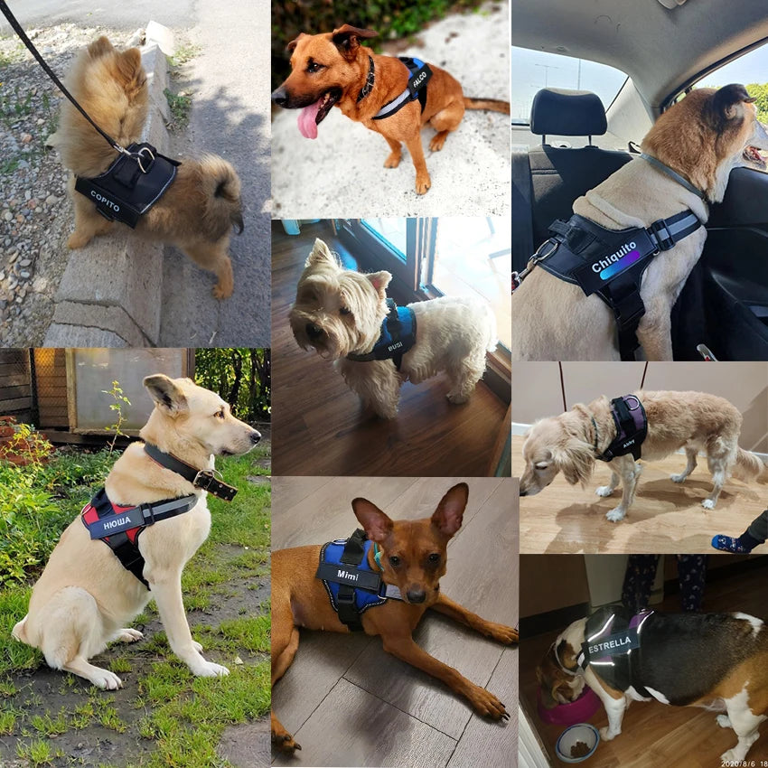 Bolux No Pull Reflective Adjustable Dog Harness Vest Nylon