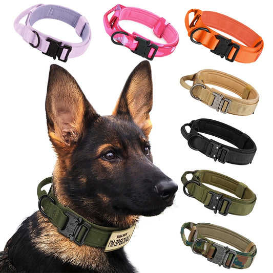Adjustable Dog Training Collar and Leash Set Tactical