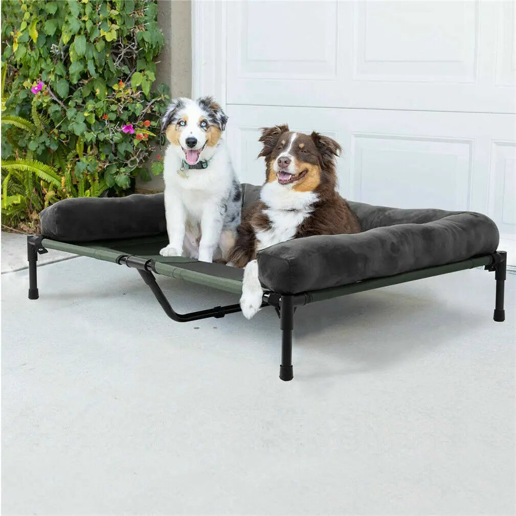 BINGOPAW Elevated Dog Bed Indoor Outdoor Lounger With Detachable Bolster