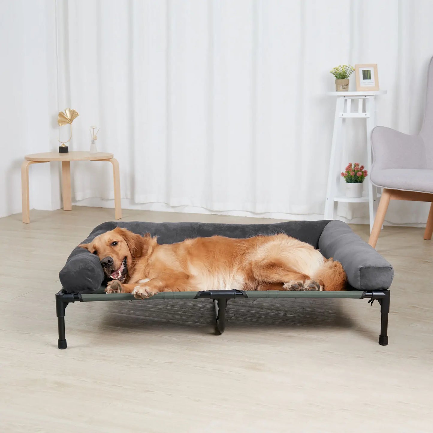 BINGOPAW Elevated Dog Bed Indoor Outdoor Lounger With Detachable Bolster