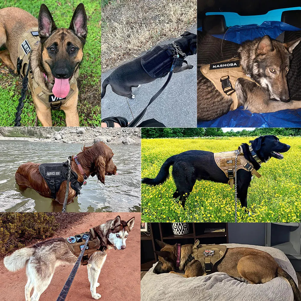 Dog Harness And Leash Set For Training German Shepherd Malinois