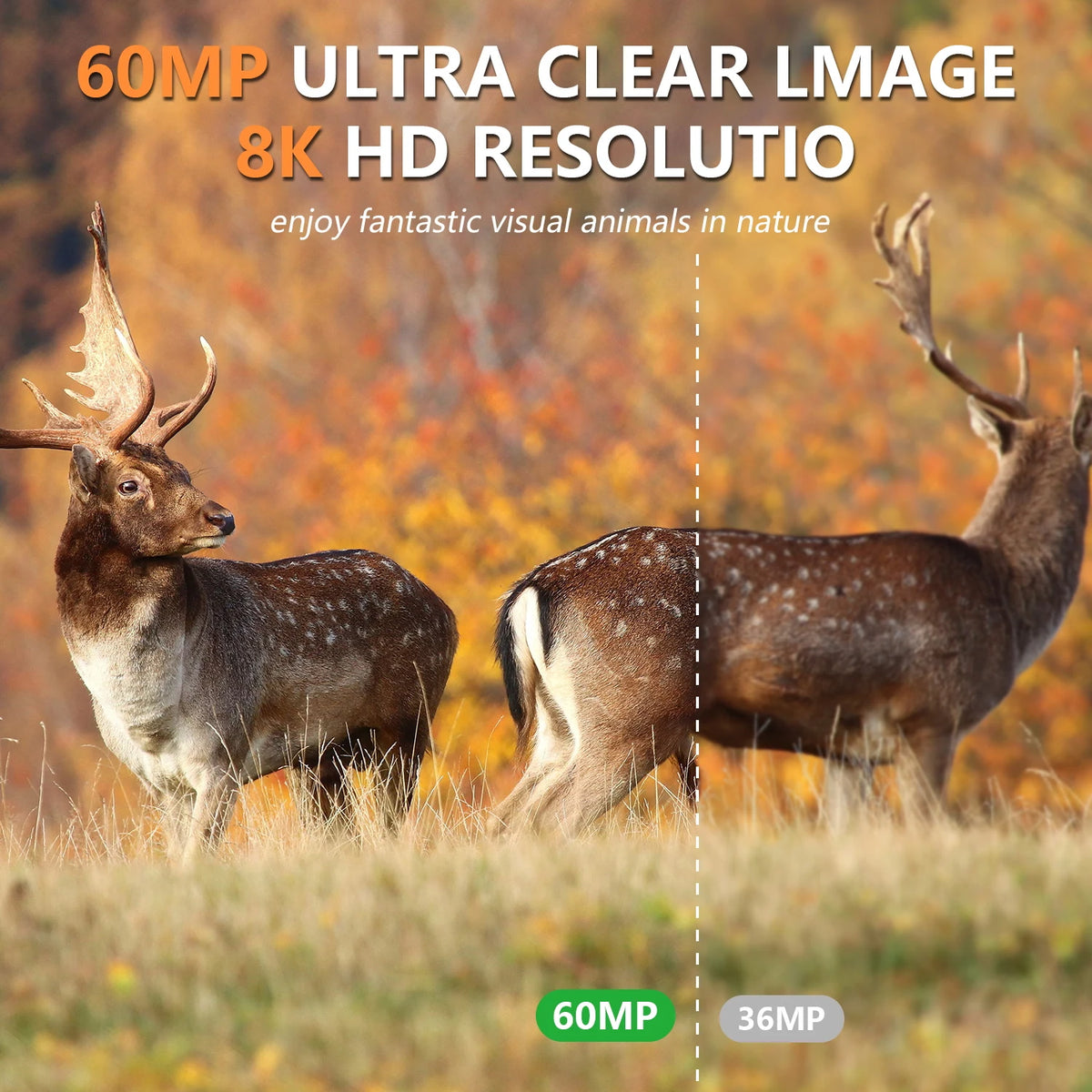 New 8K 60mp Solar Powered Hunting Camera Waterproof MP4 WIFI Infrared Trail Camera 5200mAh Battery for Wild Animals Watching