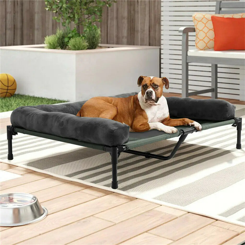 BINGOPAW Elevated Dog Bed Indoor Outdoor Lounger With Detachable Bolster