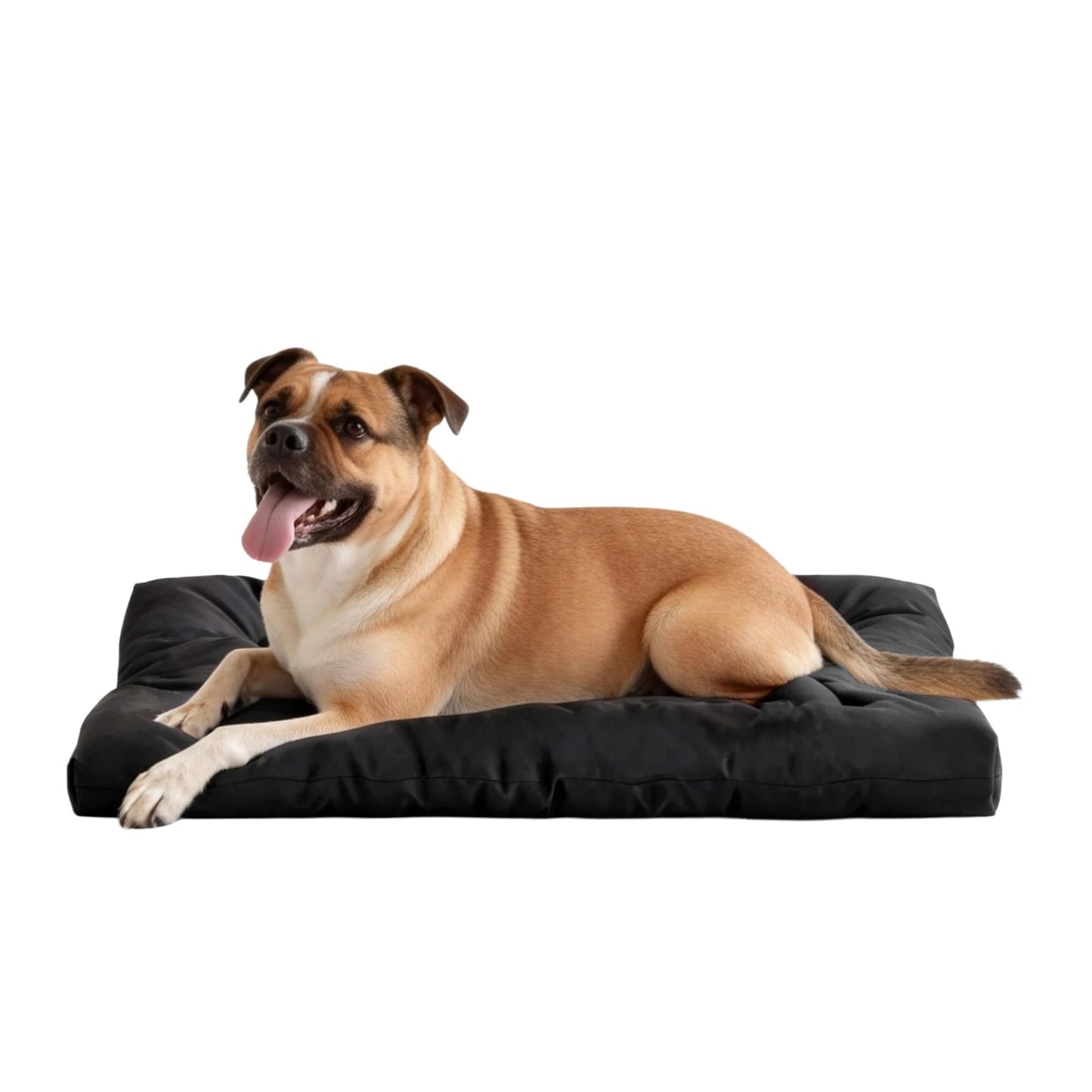 Chew Proof Dog Bed Indestructible Kennel Pad Waterproof Washable
