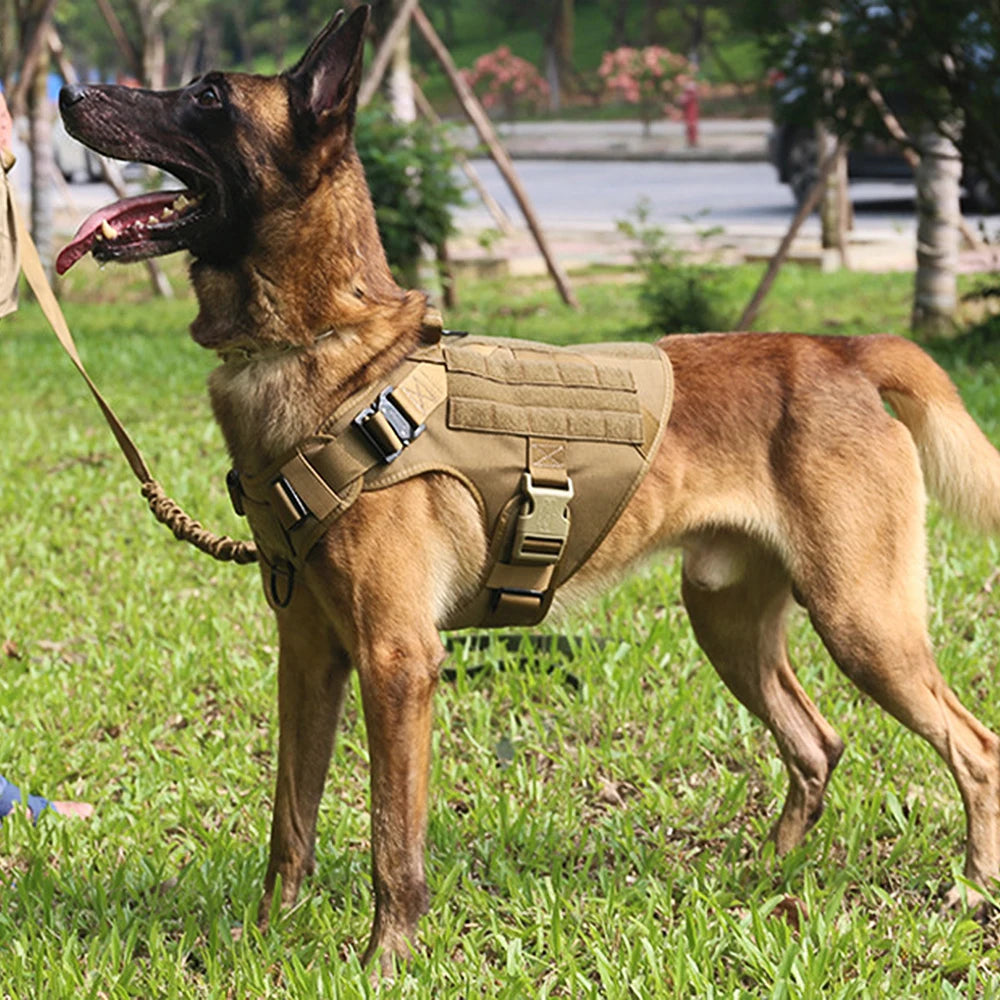 Dog Harness And Leash Set For Training German Shepherd Malinois