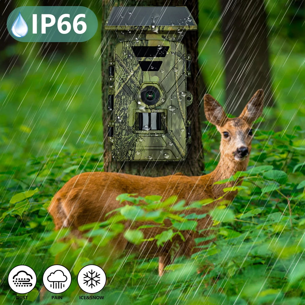New 8K 60mp Solar Powered Hunting Camera Waterproof MP4 WIFI Infrared Trail Camera 5200mAh Battery for Wild Animals Watching