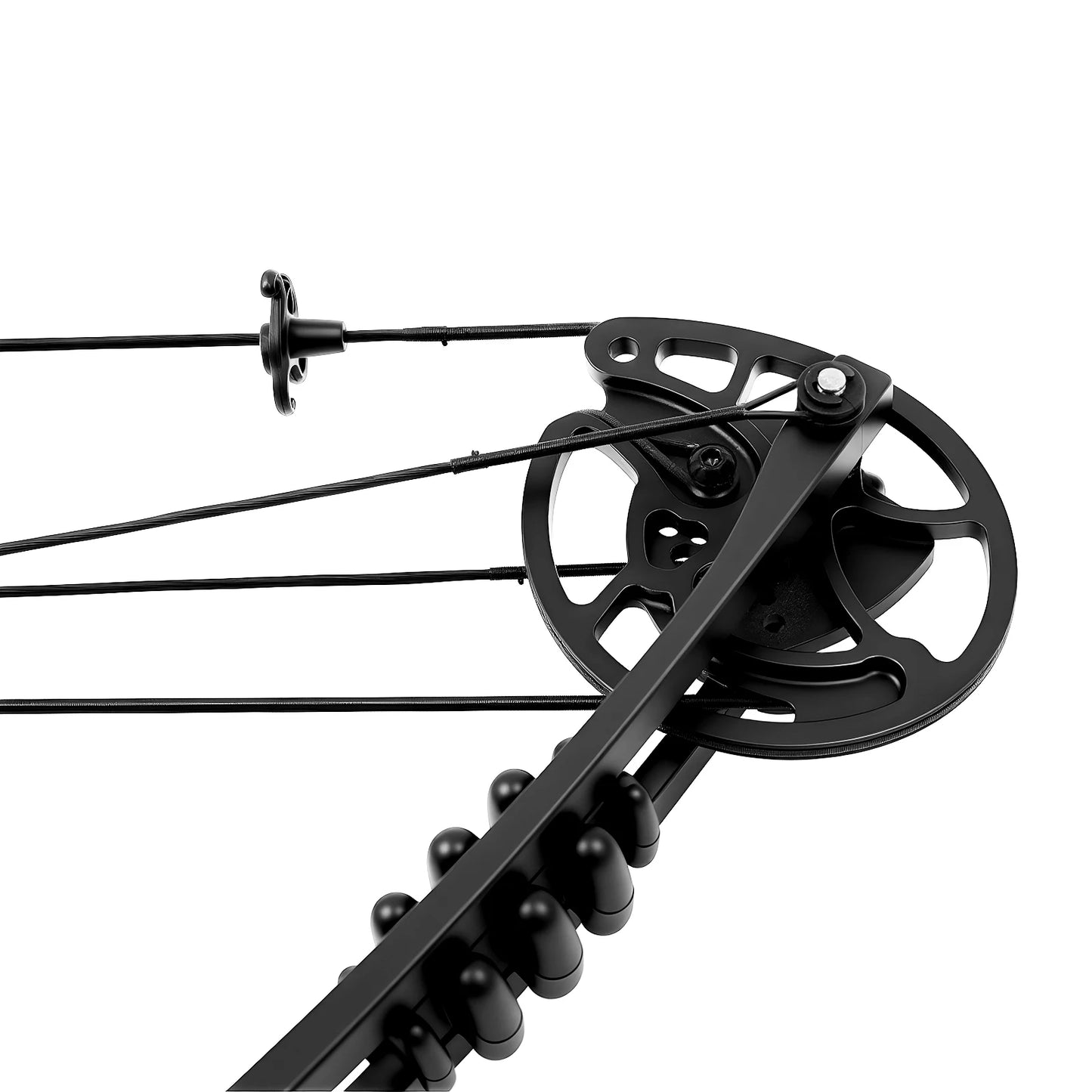 Right Handed Compound Bow Kit With Twelve Arrows For Beginners
