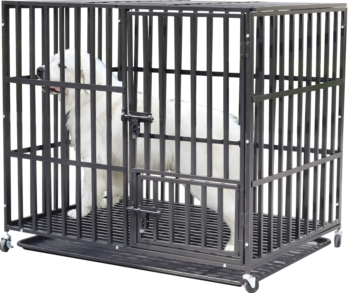 Bingopaw Heavy Duty Dog Cage With 3 Doors and Wheels