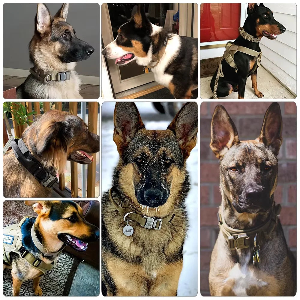 Adjustable Dog Training Collar and Leash Set Tactical