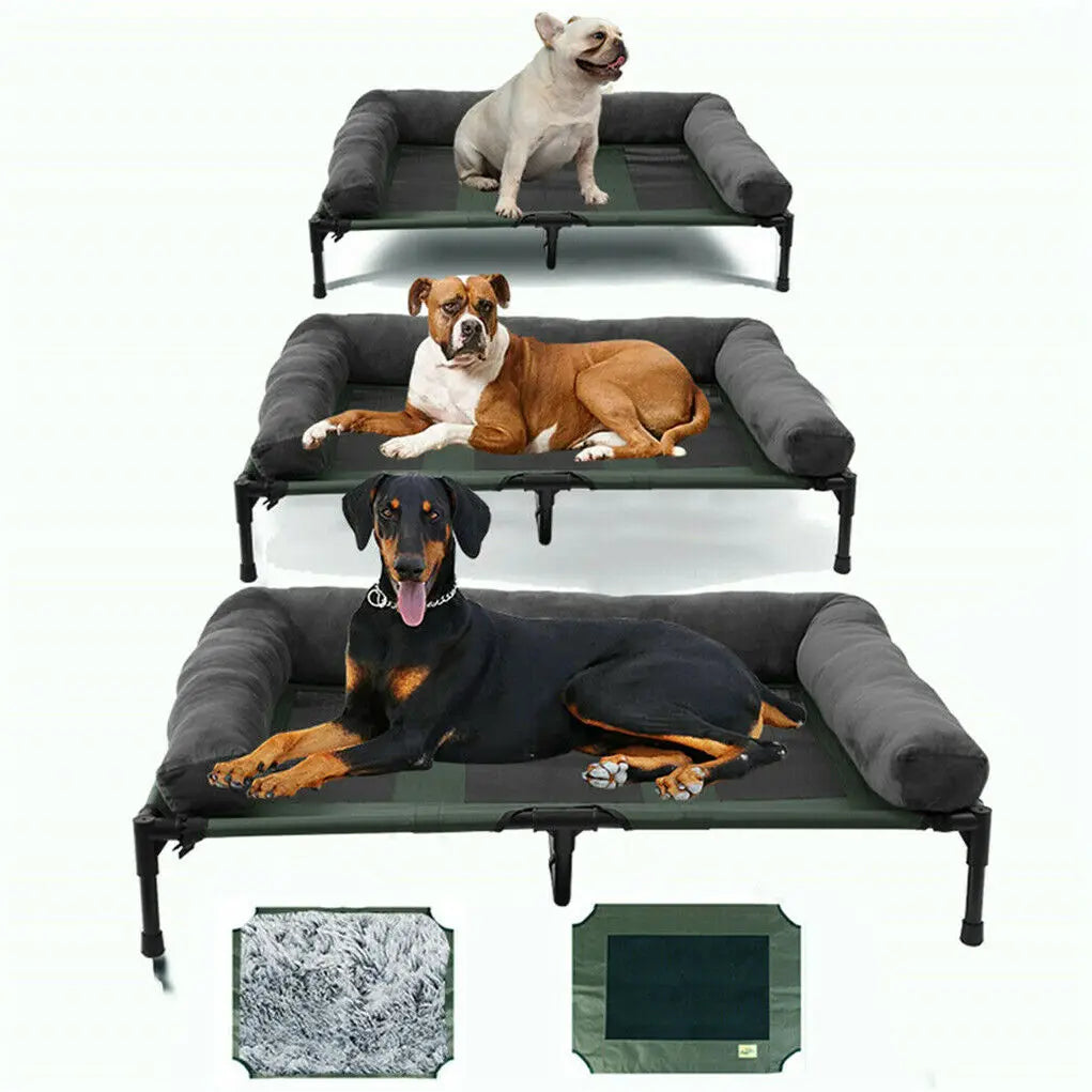 BINGOPAW Elevated Dog Bed Indoor Outdoor Lounger With Detachable Bolster