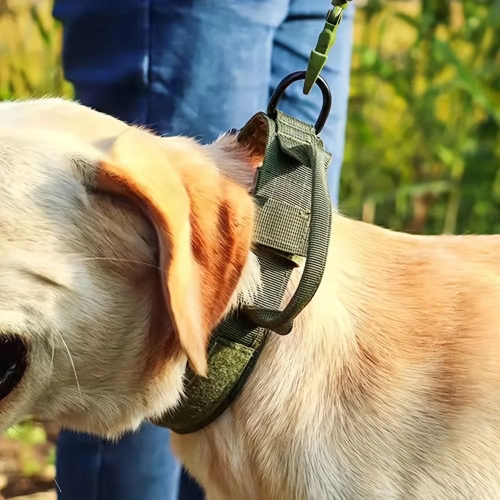 Adjustable Dog Training Collar and Leash Set Tactical