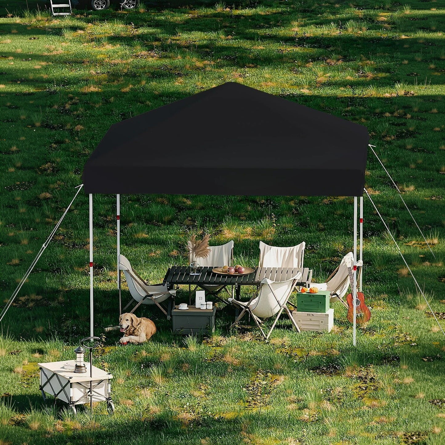 Acekool Heavy Duty Pop Up Canopy Gazebo