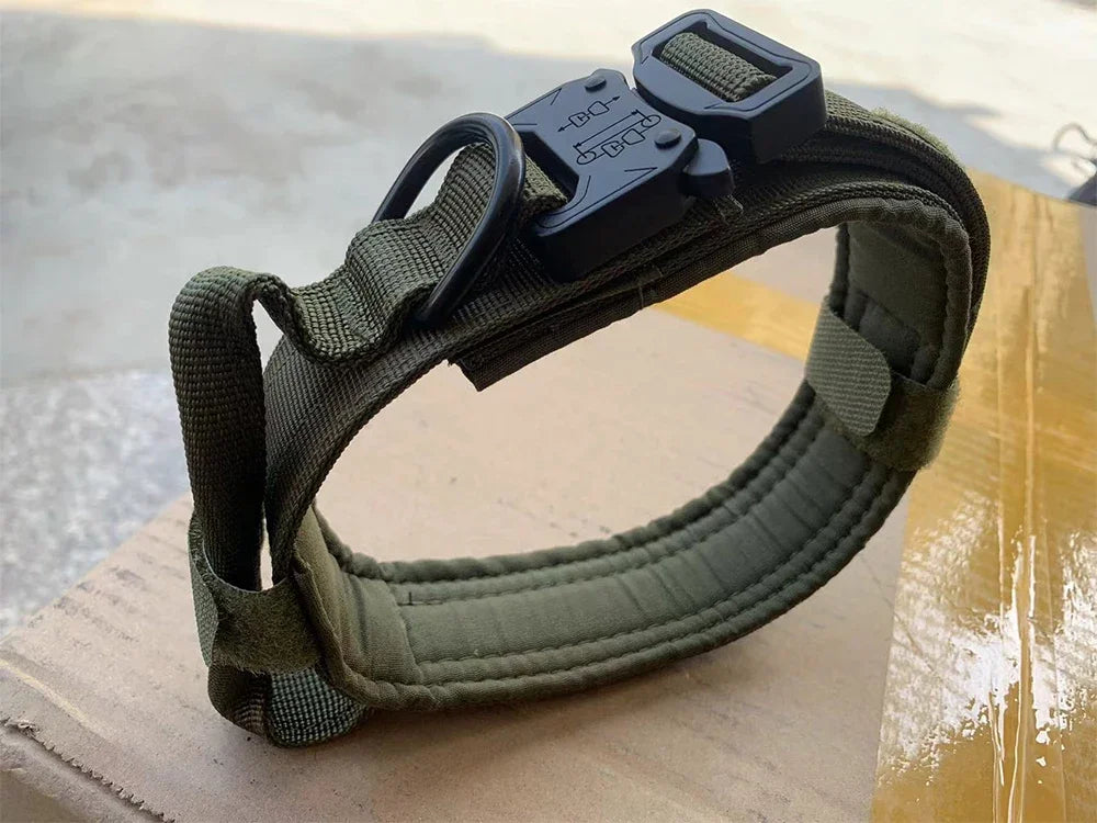 Adjustable Dog Training Collar and Leash Set Tactical