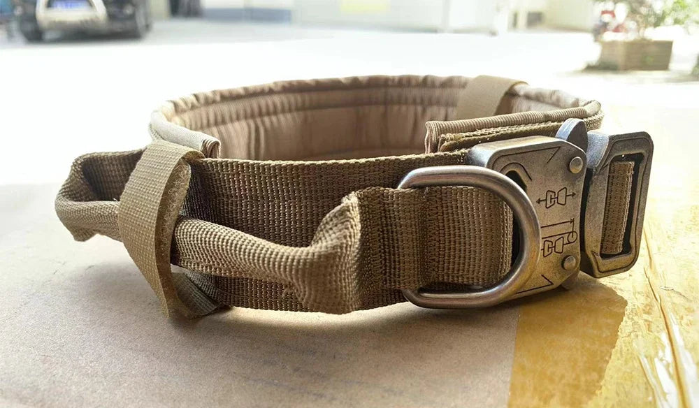 Adjustable Dog Training Collar and Leash Set Tactical