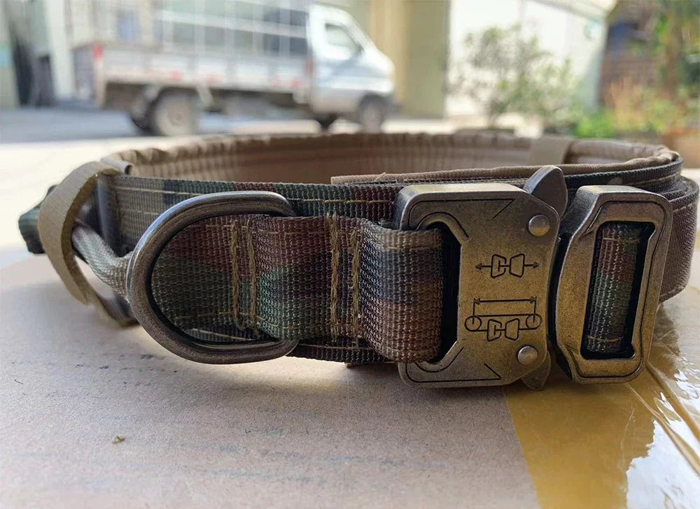 Adjustable Dog Training Collar and Leash Set Tactical
